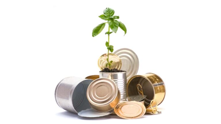 ほうれん草缶詰-768x432