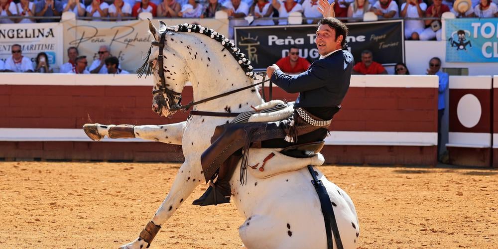 20230815143517-d44a12832