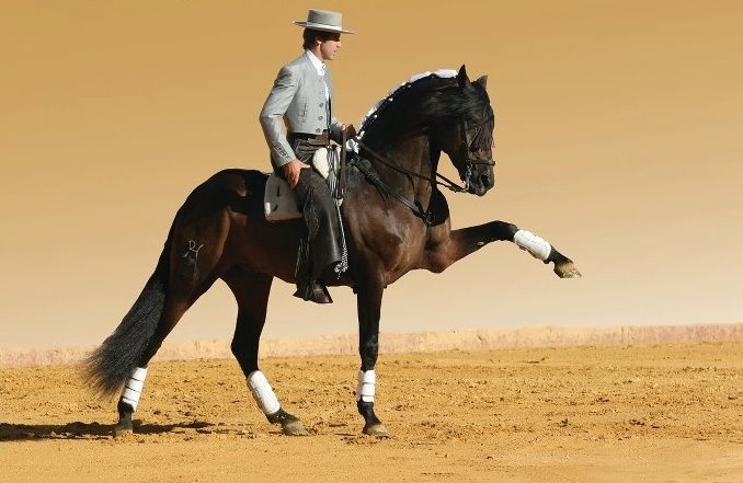 5b47690dcb3354a578a127bf6dae8546