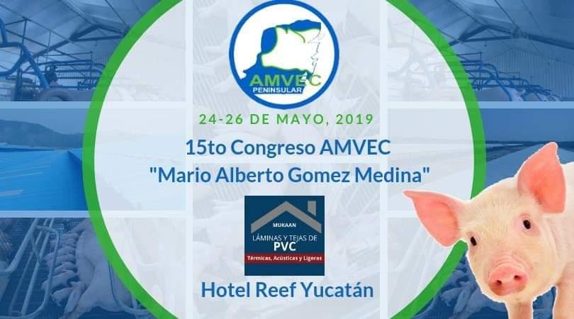 LAMINAS Y ACEROS AMVEC 2019, Telchac