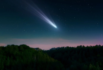 LAMINAS Y ACEROS COMETA DEL SIGLO