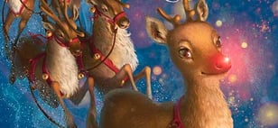 LAMINAS Y ACEROS RODOLFO