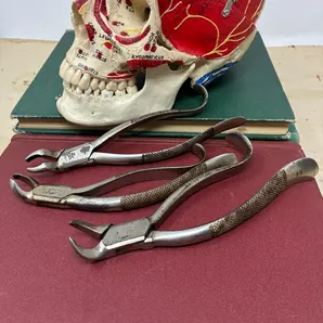 Captura de pantalla 2026-02-18 153949