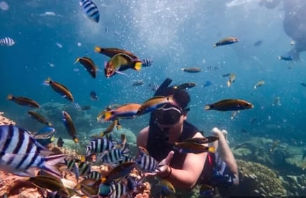 Captura de pantalla_19-11-2025_114546_foodandpleasure.com