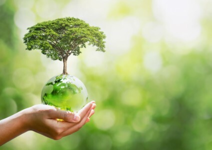 LAMINAS Y ACEROS PRINCIPIO DNHS