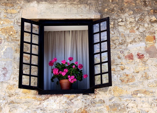 10 Consejos para combatir la humedad