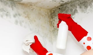 10 Consejos para combatir la humedad