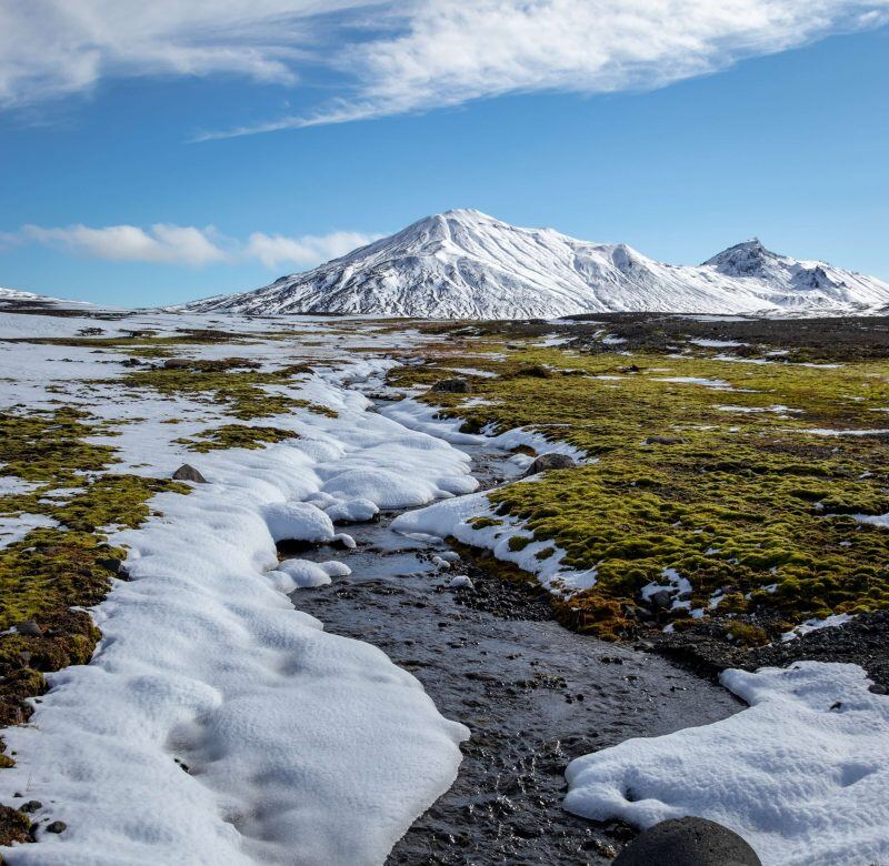 Donde-se-ubica-el-clima-de-tundra-geograficamente