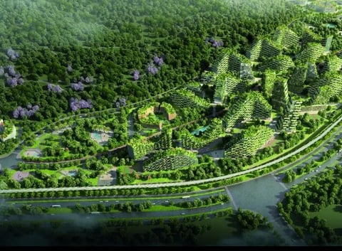 LAMINAS Y ACEROS CIUDAD BOSQUE