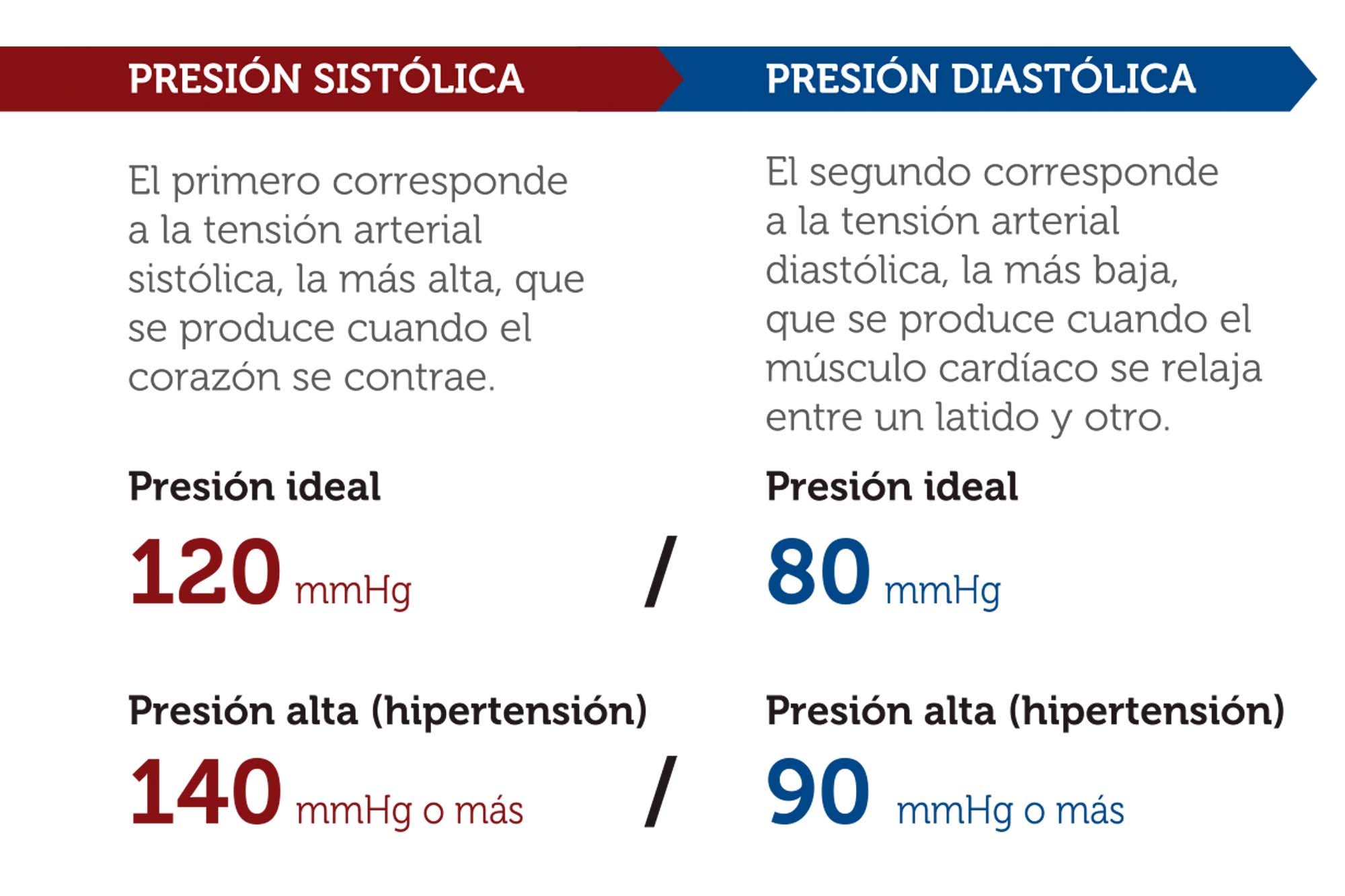 Laminas y Aceros Hipertension Arterial 2