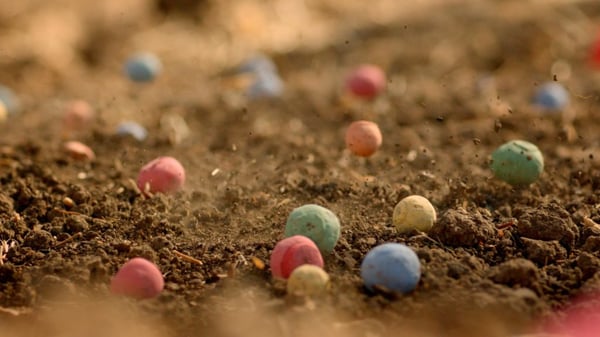 Laminas y aceros. bombas de colores, flores silvestres, abejas