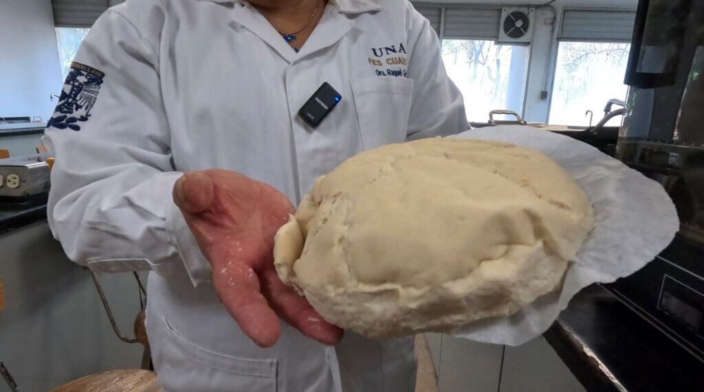 Masa-Tortilla-1024x571