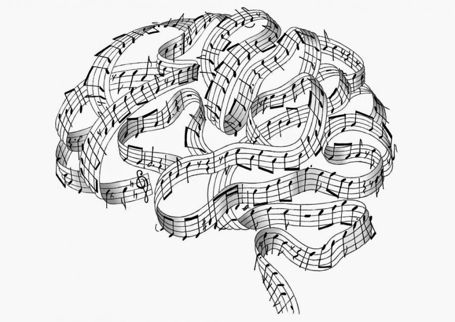 Musica y cerebro laminas y aceros