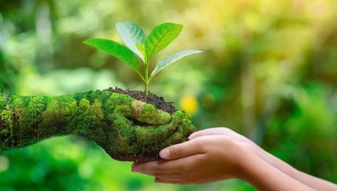 LAMINAS Y ACEROS NATURALEZA