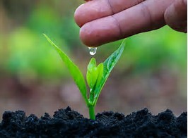 Laminas y Aceros Reforestacion.jpg