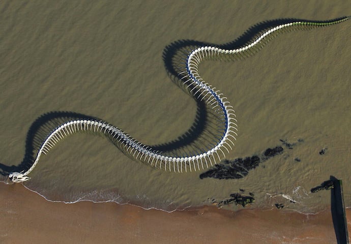 Serpent-d-Ocean-Francia-3