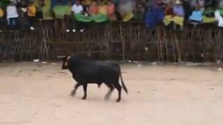 Sinaloense1