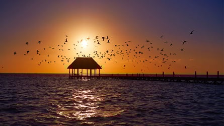 bacalar2