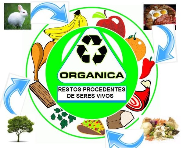 basura-organica