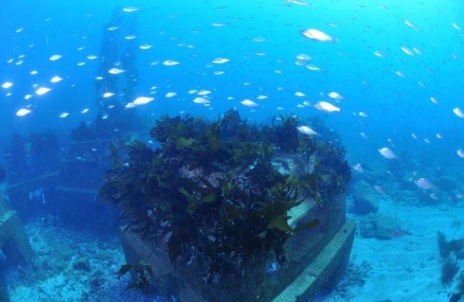 LAMINAS Y ACEROS BLOQUE TRITON PARA ARRECIFE MARINO