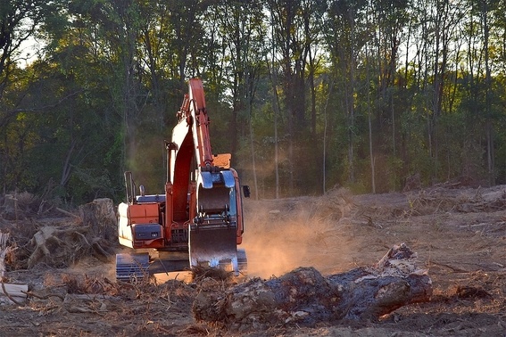 laminas y aceros. deforestacin 3