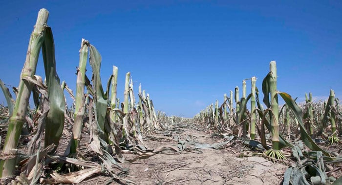 laminas y aceros. deforestacion 7