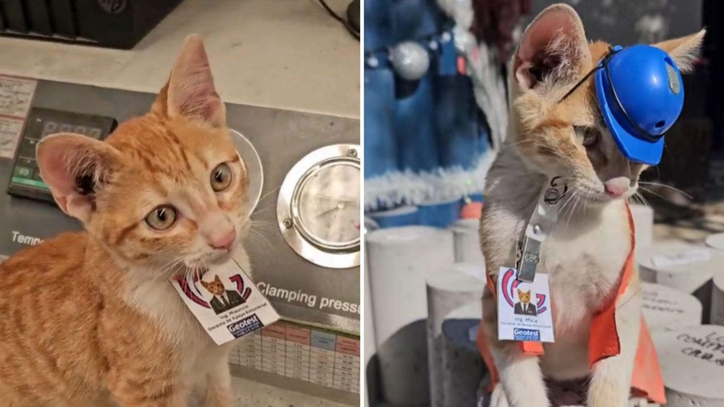 f1456x819-1223016_1393386_5050