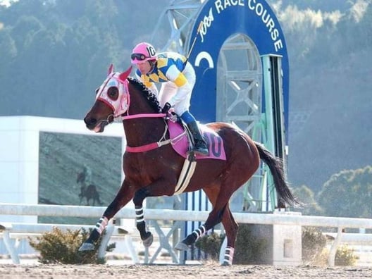 haru-urara-competicion