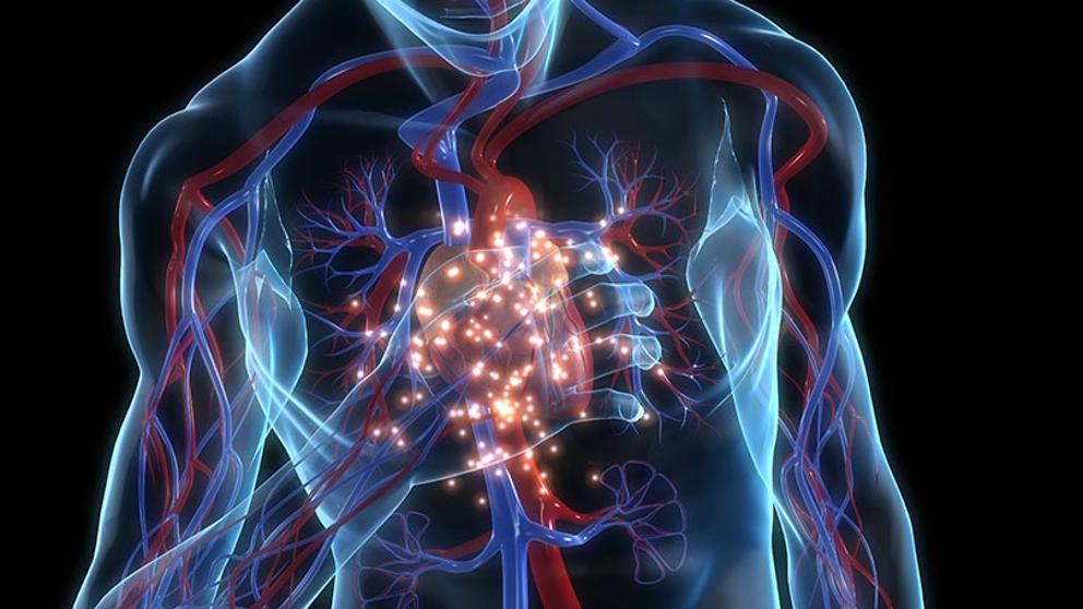 img_efreire_20190401-083055_imagenes_lv_terceros_ataque_corazon-kcWG-U461375577097fqH-992x558@LaVanguardia-Web