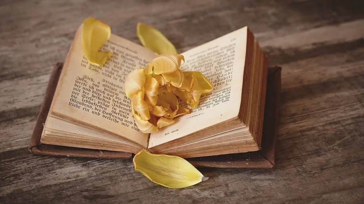 libros-cambiaran-tu-vida-wide_webp