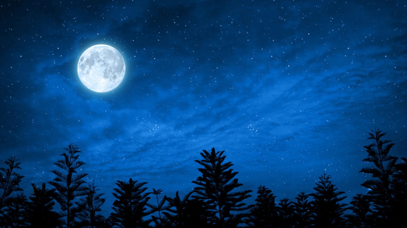 luna_azul-halloween-caracas.jpg_1834093470