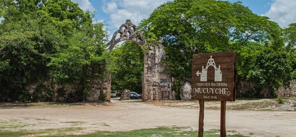 mucuyche3