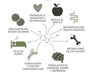 LAMINAS Y ACEROS QUE AYUDA LA SEROTONINA