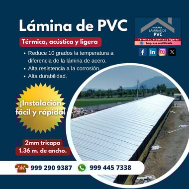 Lámina PVC-Oct-03-2024-04-42-41-6973-PM