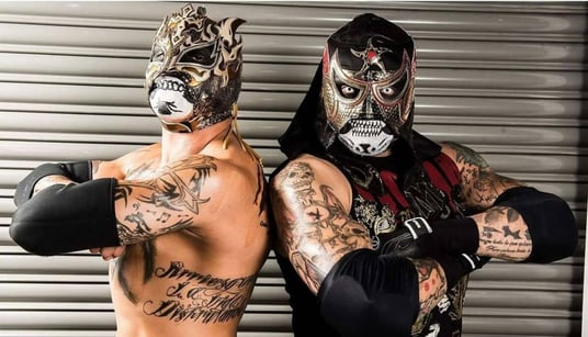 the lucha brothers