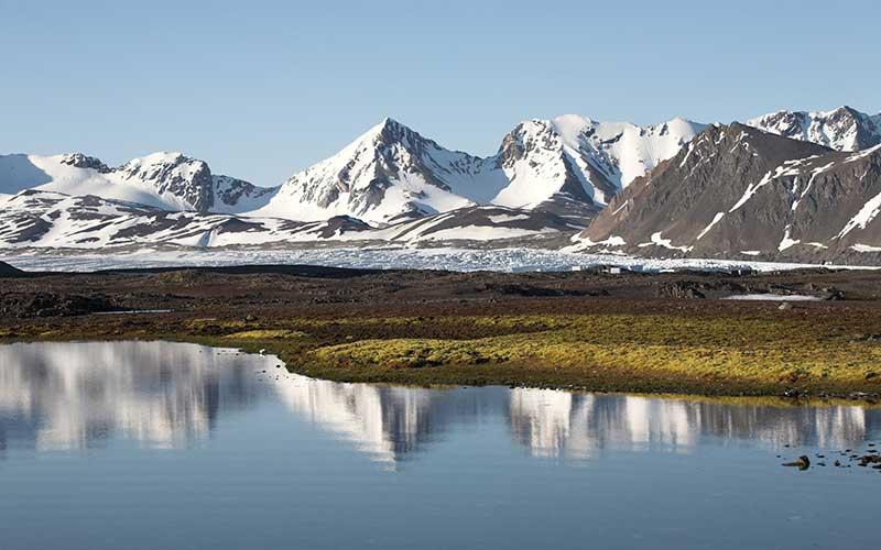 tundra_caracteristicas_clima_tipos_flora_y_fauna_79_orig