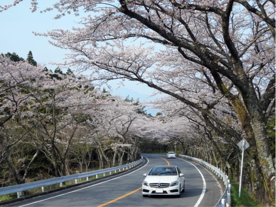 Cinco rutas por carretera para descubrir el Japón más auténtico y rural – El Ecoturista