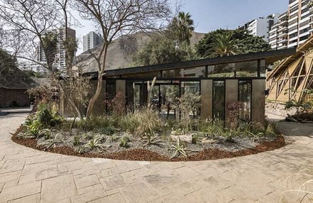 vivienda con arboles1