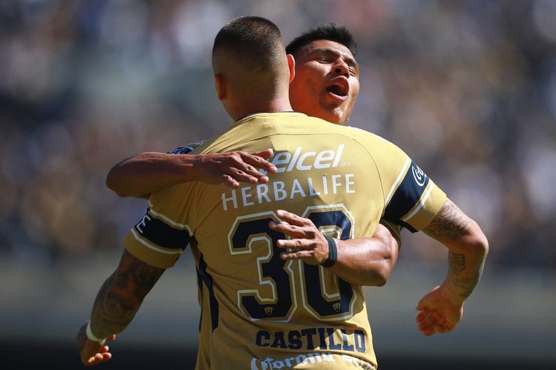 Laminas y Aceros Pumas.jpg